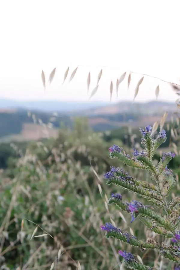 Agriturismo Escaia Volterra